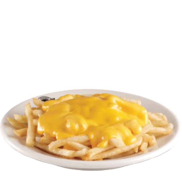 Indulge in Our Cheese Fries