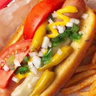 Chicago Style Hotdog with Fries